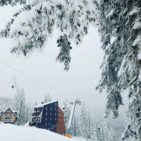 Dvosjed * Jahorina