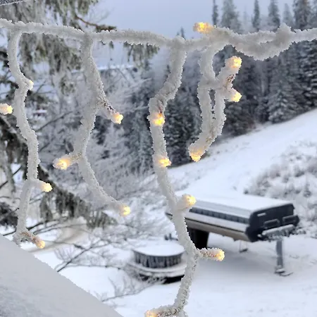 Apartman Dvosjed