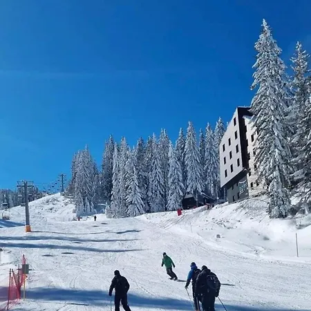 Dvosjed アパート *