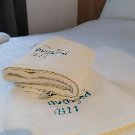 Dvosjed Apartman *